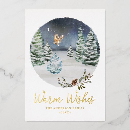 Warm Wishes Woodland Owl Winter Scene Non-Photo Folie Feestdagenkaart (Voorkant)
