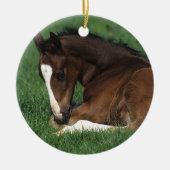 Warmbloeslade Keramisch Ornament (Voorkant)