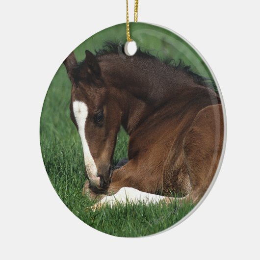Warmbloeslade Keramisch Ornament (Links)