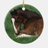 Warmbloeslade Keramisch Ornament (Achterkant)