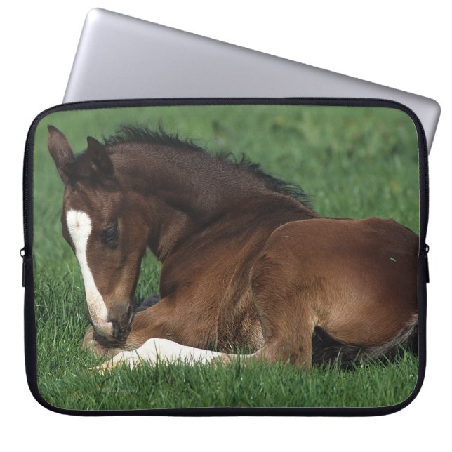 Warmbloeslade Laptop Sleeve (Voorkant)