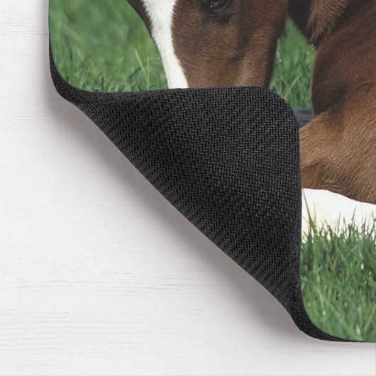 Warmbloeslade Muismat (Hoek)