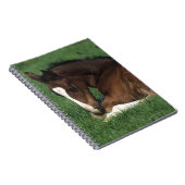 Warmbloeslade Notitieboek (Rechterzijde)