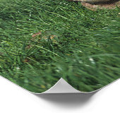 Warmbloeslade Poster (Hoek)