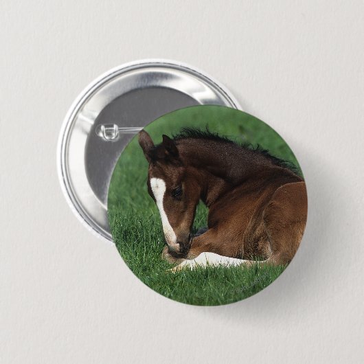 Warmbloeslade Ronde Button 5,7 Cm (Voorkant /achterkant)