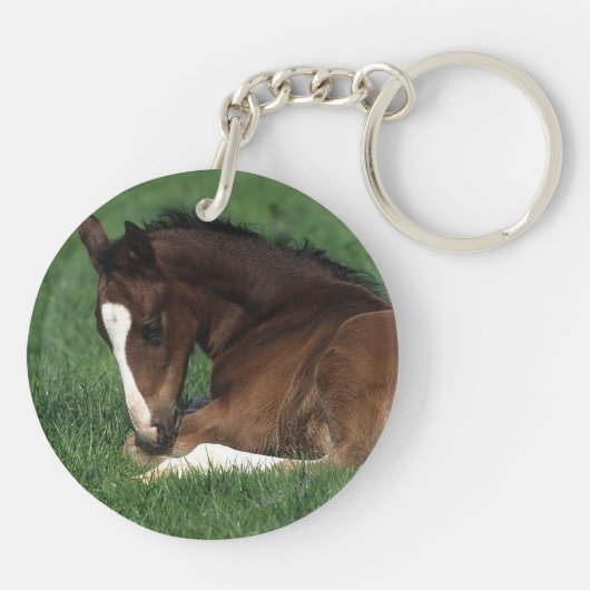 Warmbloeslade Sleutelhanger (Achterkant)