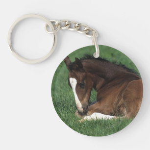 Warmbloeslade Sleutelhanger