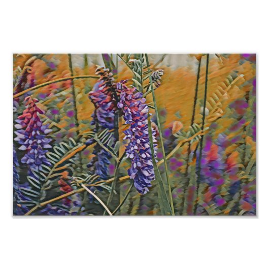 Warme Arctische lupine-kleuren Foto Afdruk (Voorkant)