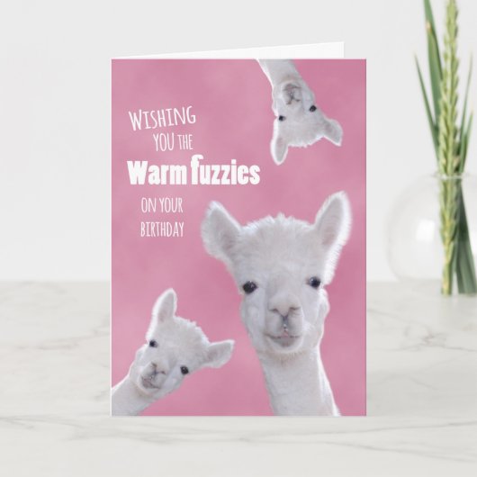Warme fuzzies op je verjaardag met Schattigee lama Kaart (Voorkant)
