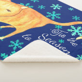 Warme Fuzzies & Winter Buien Kerstkat Sherpa Deken (3/4)