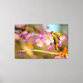 Warme kleuren van Sakura-bloemen in het Hanami-sei Canvas Afdruk (Voorkant)
