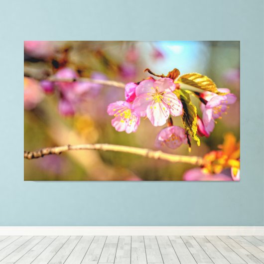 Warme kleuren van Sakura-bloemen in het Hanami-sei Canvas Afdruk (Insitu (Houten vloer))