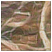 warme leeuw stof (Close Up)