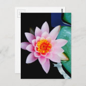 Warme roze en oranje lotuswaterbloem briefkaart (Voorkant / Achterkant)