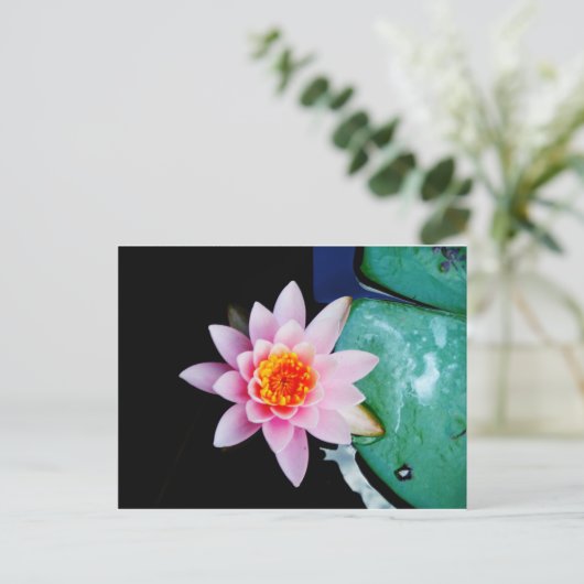 Warme roze en oranje lotuswaterbloem briefkaart (Staand voorkant)