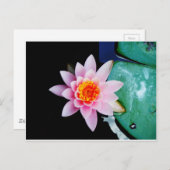 Warme roze en oranje lotuswaterbloem briefkaart (Voorkant / Achterkant)