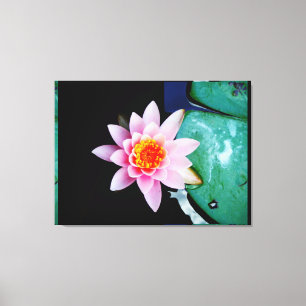 Warme roze en oranje lotuswaterbloem canvas afdruk
