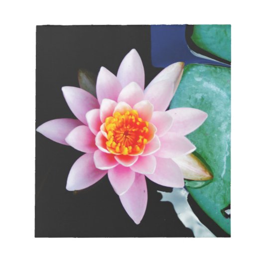 Warme roze en oranje lotuswaterbloem notitieblok (Voorkant)