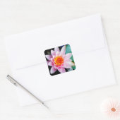 Warme roze en oranje lotuswaterbloem vierkante sticker (Envelop)