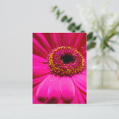 warme roze gerber daisy briefkaart (Staand voorkant)