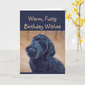 Warme, vage verjaardagswensen Schattigee zwarte ho Kaart (Gele Bloem)