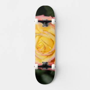Warmgele roze roze roze roze ventilator persoonlijk skateboard