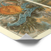  warmloperballon voor het verzamelen van Kaarten Poster (Hoek)