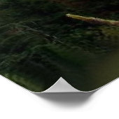 WarmluchtballonRide in het Poster van de Rockies (Hoek)