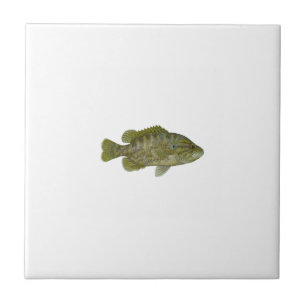 Warmouth Bass Tegeltje