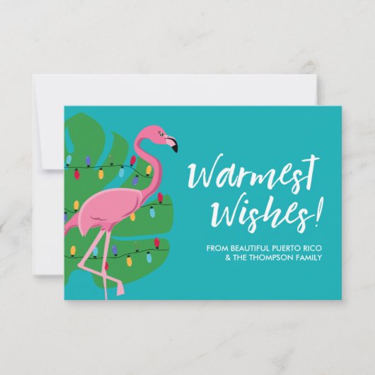 Warmste wensen Holiday Flamingo blauwe Aangepaste  Kaart (Voorkant)
