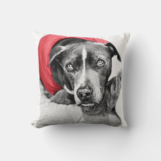 Warmte oogsten in rood kussen (Voorkant)