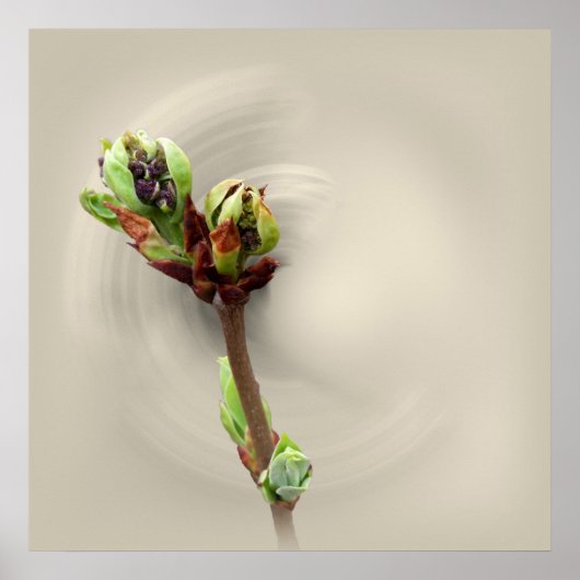 warmte van de lente poster (Voorkant)