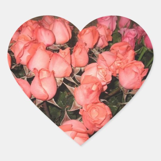 WARMTEVORMINGSTOCKERS VOOR ROOS HART STICKER (Voorkant)