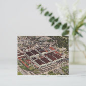 Warner Brothers Wedding Escort Kaart Briefkaart (Staand voorkant)