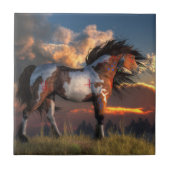 Warpaard Tegeltje (Voorkant)