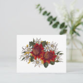 Warratha Flannel Flower Briefkaart (Staand voorkant)