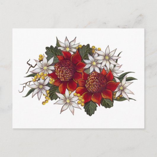 Warratha Flannel Flower Briefkaart (Voorkant)