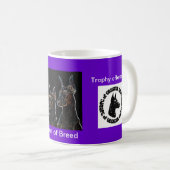 Warren Mok (Voorkant rechts)