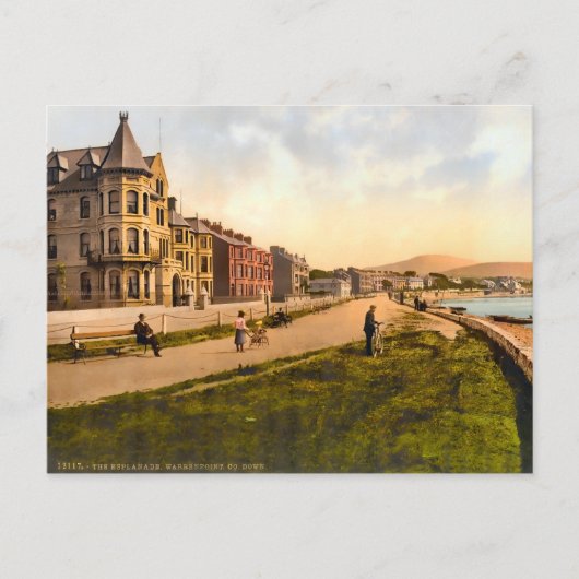 Warrenpoint County Down Ierland Briefkaart (Voorkant)
