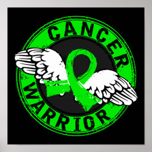 Warrior 14C Non-Hodgkin lymfoom Poster