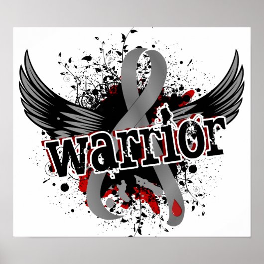 Warrior 16 Diabetes Poster (Voorkant)