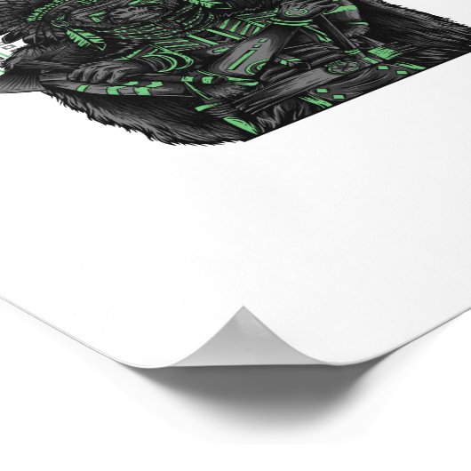 warrior apache poster (Hoek)