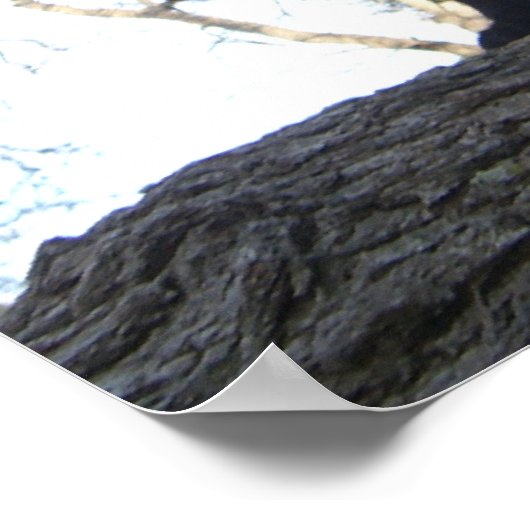 Warrior Cat Poster (Hoek)