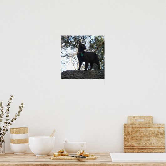 Warrior Cat Poster (Keuken)