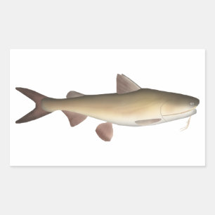Warrior Catfish Rechthoekige Sticker
