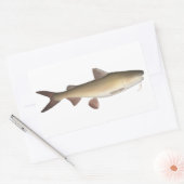 Warrior Catfish Rechthoekige Sticker (Envelop)