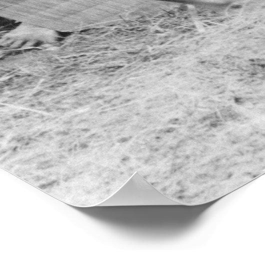 Warriors, Belgisch Congo, 1894 Poster (Hoek)