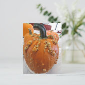Warted Pumpkin Briefkaart (Staand voorkant)