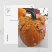 Warted Pumpkin Briefkaart (Voorkant / Achterkant)