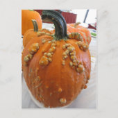 Warted Pumpkin Briefkaart (Voorkant)